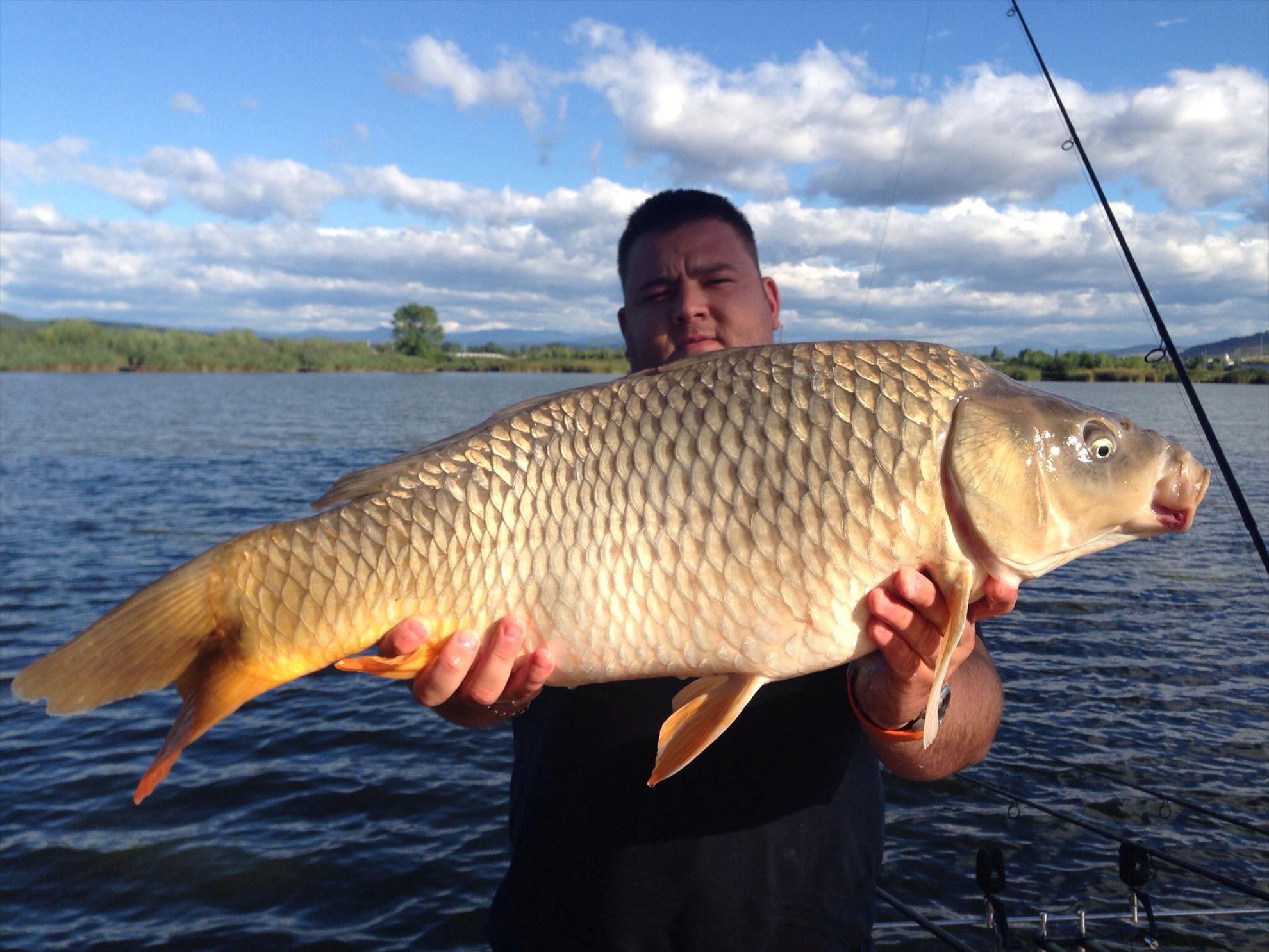 Pleasa 2013 - image111111.jpg